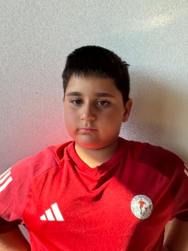Arisel Ibrahimllari