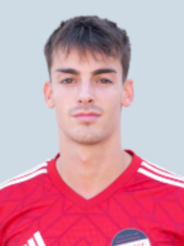 Manuel Ptoszek