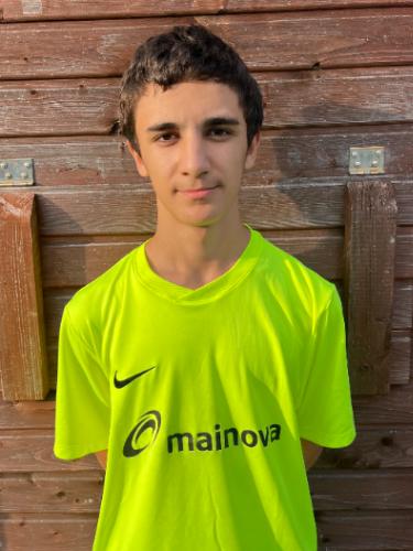 Leonardo Martins-Gomes