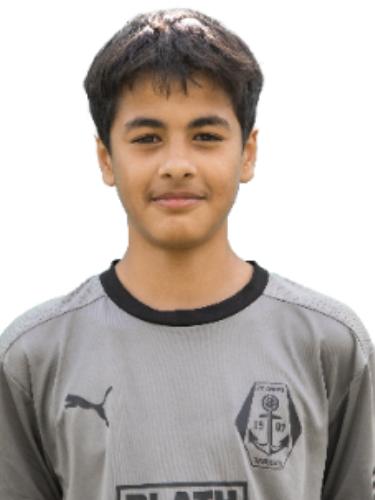 Hamed Saidi