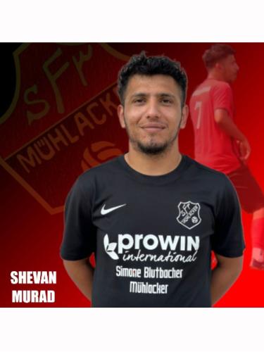 Shevan Murad
