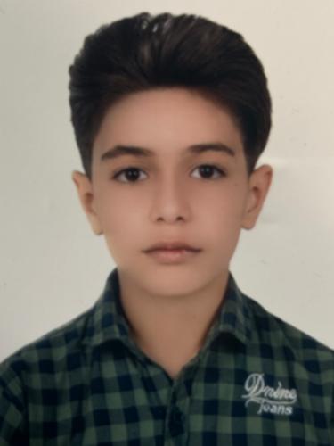 Bardia Shojaeishabanabadi