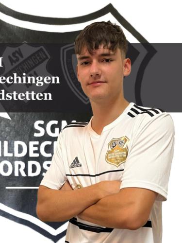 Julius Schneiderhan