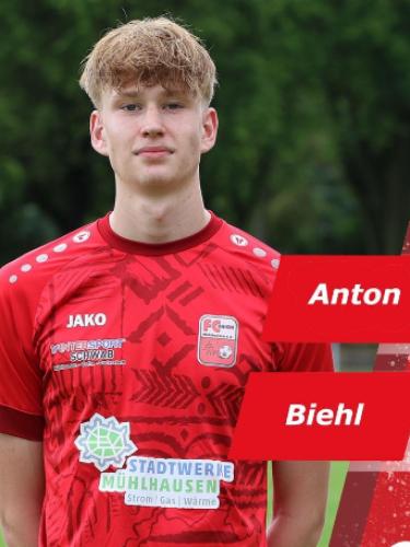 Anton Biehl