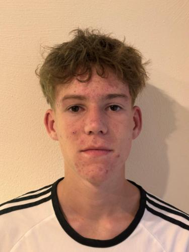 Hugo Barnekow