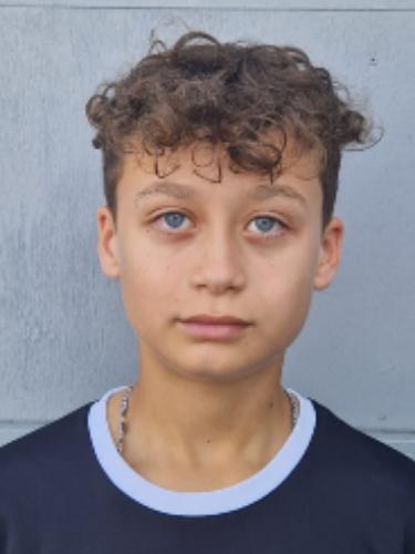 Nicolas Henry Vermöhlen