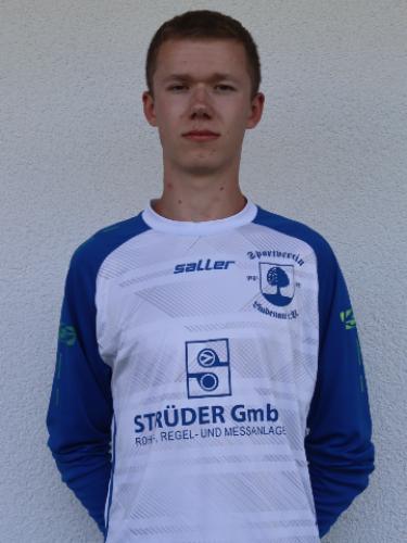 Niklas Ludwig Lein