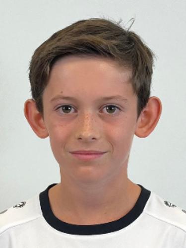Nico Holl