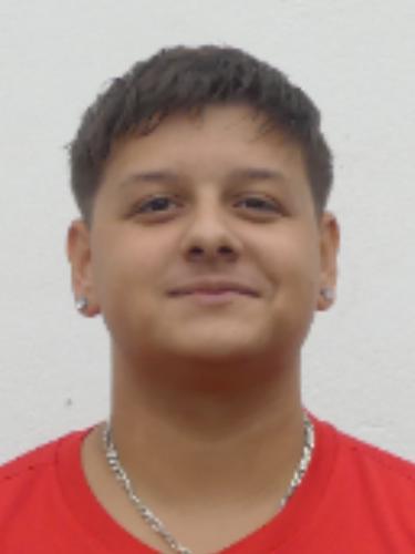 Leandro Filipe Cerqueira Gulipa