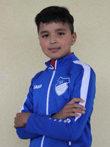 Amir-Mohammad Hassanzada