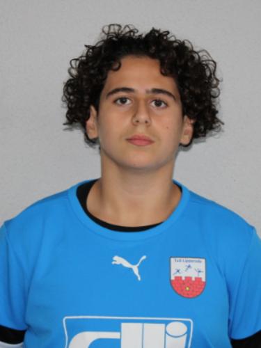 Amir Sweidan