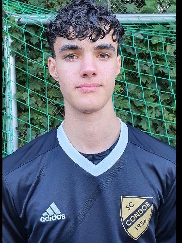 David Leon Stiefvater