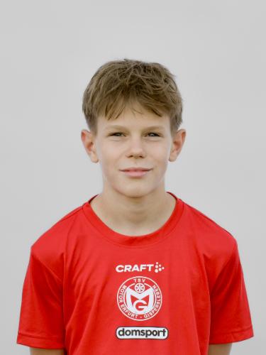 Henk Thieme
