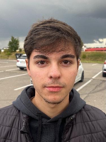 Diogo Andre Matos Simoes