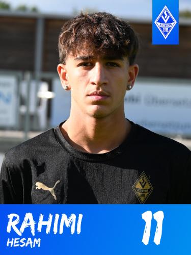 Amir Hesam Rahimi