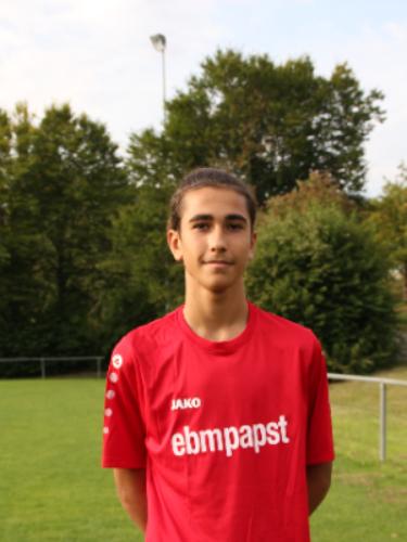 Hamza Alsharaa