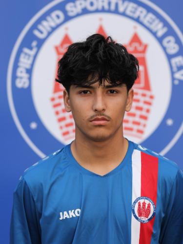 Mohammad Ehsan Azimi