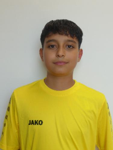 Mohammad Alshehada
