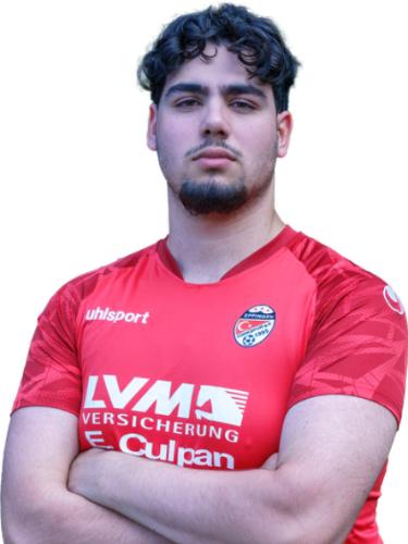 Melih Emre Sahin