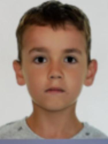 Linus Fink