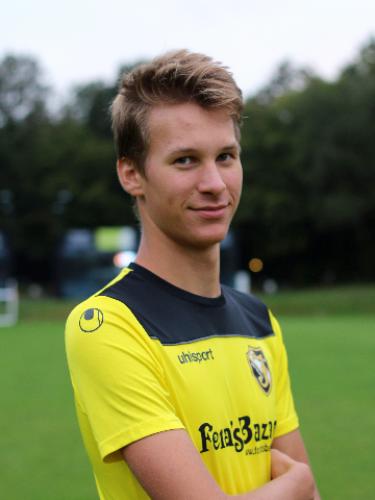 Ludwig Linckh