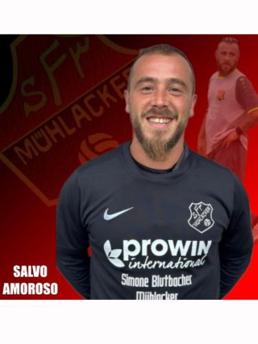 Salvo Amoroso