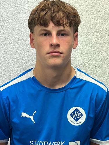 Leo Bela Birk