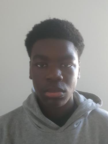 Jan Nchemaha Ngankam