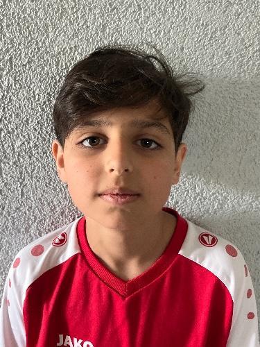 Ali Sajed