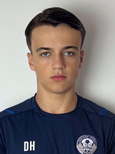 Devid Haan