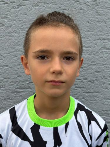Luka Sicenica