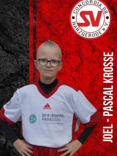 Joel-Pascal Krosse