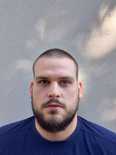 David Mlakic