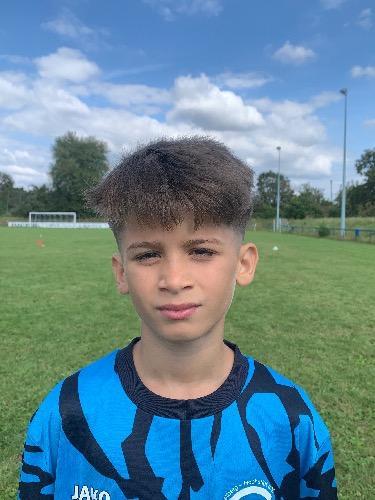 Hamid Emilio Alimanović