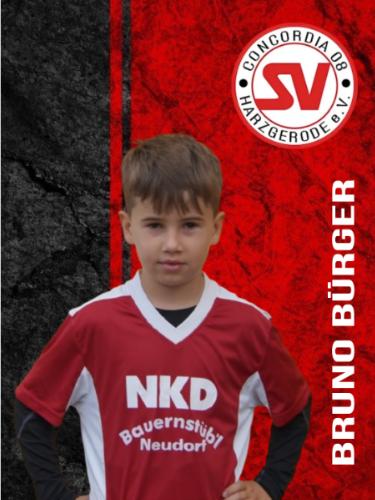 Bruno Bürger