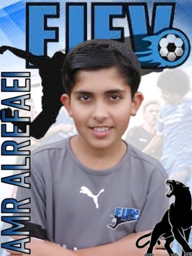 Amr Alrefaei