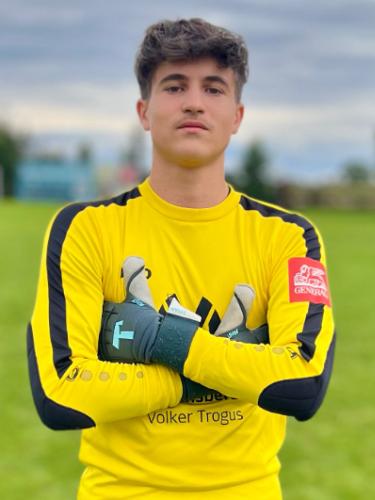 Emile Vincent Cousquer