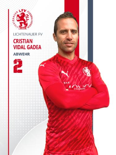 Cristian Vidal Gadea