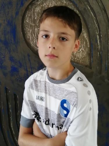 Nikola Teodorovic
