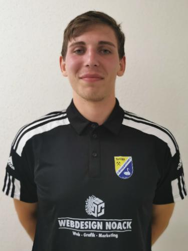 Henrik Sauer