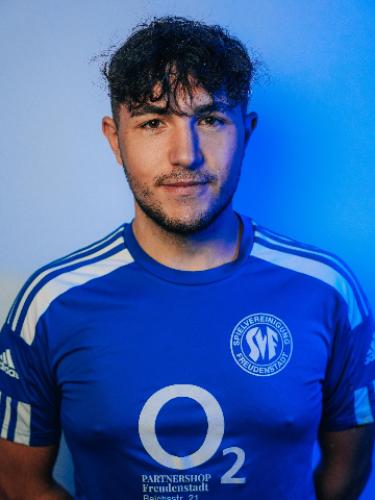 Hamza Djekic