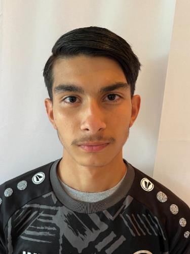 Denis-Adelin Muntean