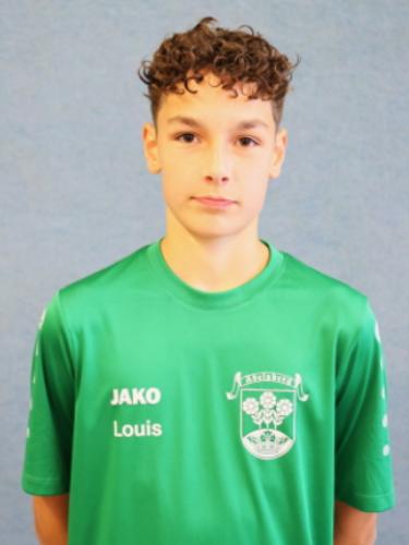 Louis Alexander Bauer