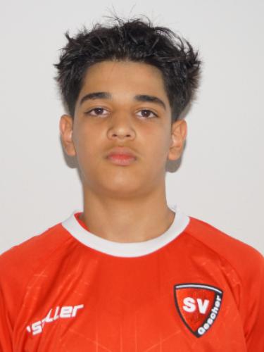 Hamid Amani