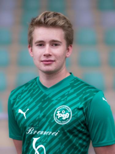 Nico Gercek