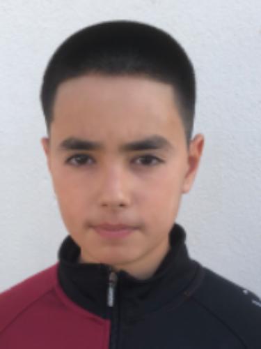 Ali Bilal Demirelli