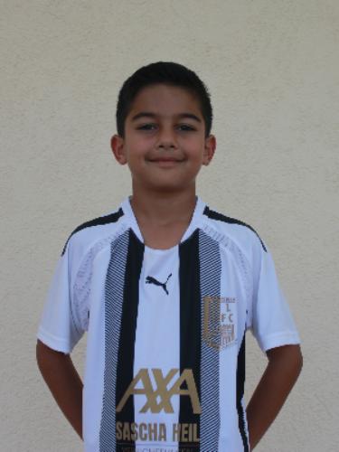 Milan Hamidi
