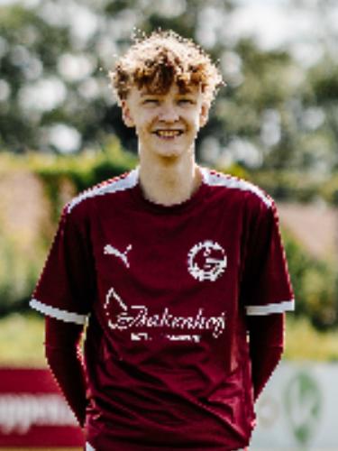 Henri Friedrich Baldszun