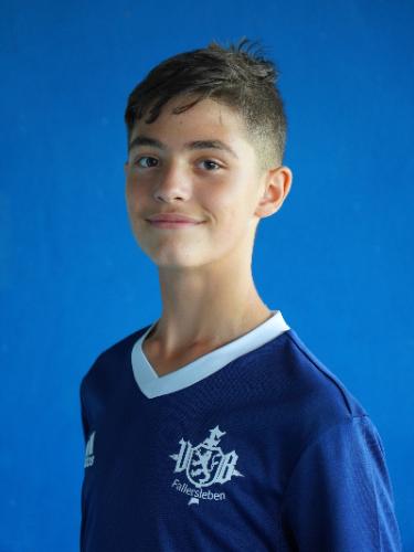Arthur Bocanet