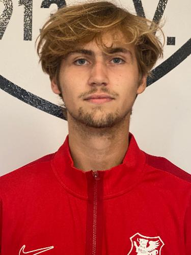 Luca Leander Moysies